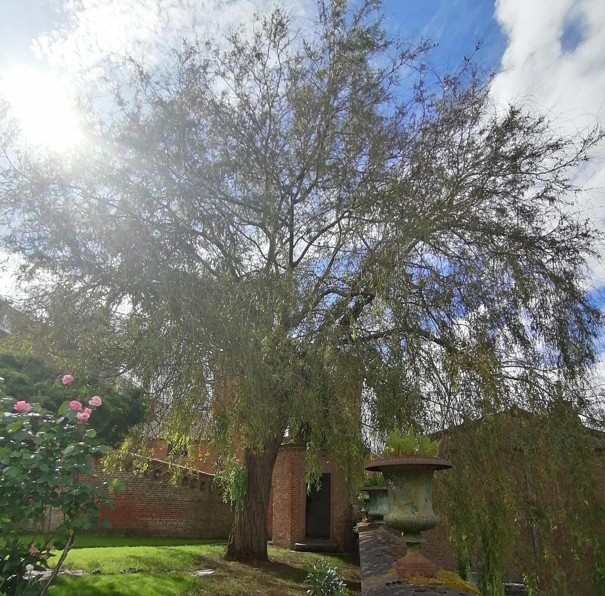 Le Relais Napoleon Bed & Breakfast Avesnes-sur-Helpe Exterior photo